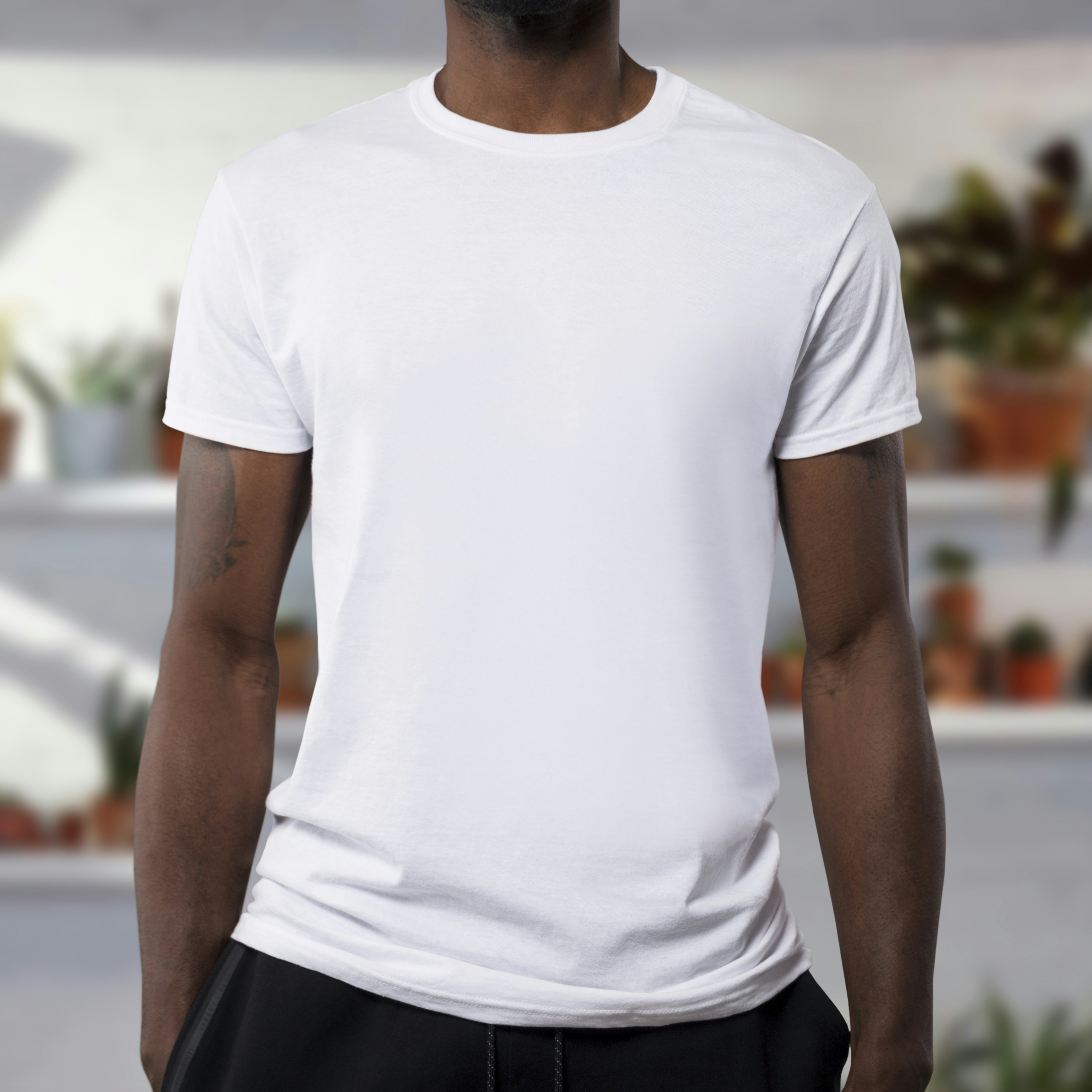 Narniya Shirt